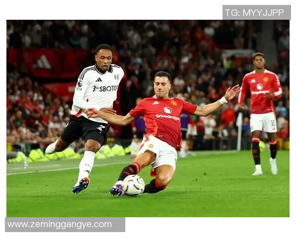 喜欢看足球世界杯的NBA球星们如何跨界热爱足球运动的背后故事 喜欢看足球世界杯的NBA球星们如何跨界热爱足球运动的背后故事